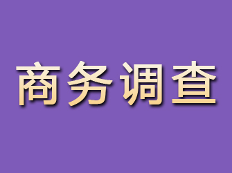 汤原商务调查